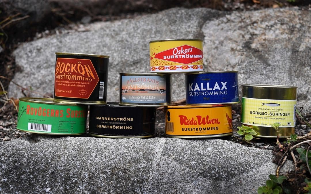 Filet Kallax Surströmming hareng fermenté 3 x 300 grammes 100 % suédois